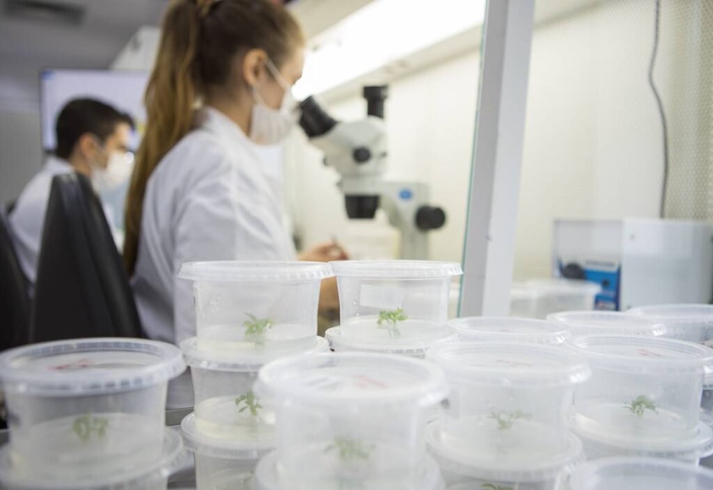 Inovação e saúde representadas por um cientista avaliando resultados de pesquisa em um laboratório